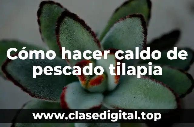 Cómo hacer caldo de pescado tilapia