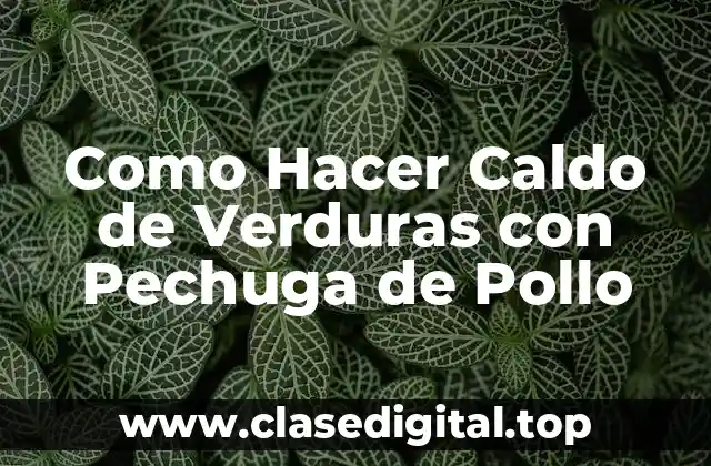 Como Hacer Caldo de Verduras con Pechuga de Pollo