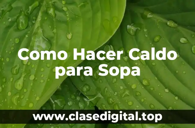 Como Hacer Caldo para Sopa