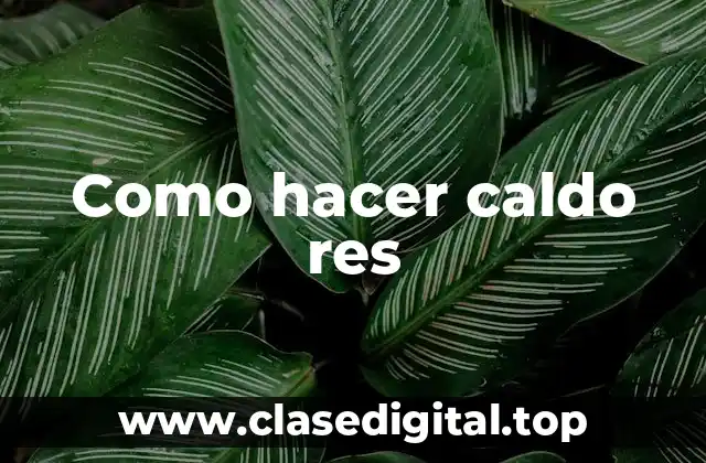 Como hacer caldo res