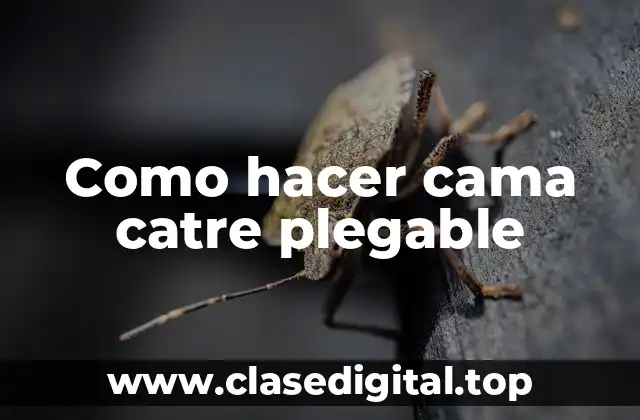 ¿Qué es una cama catre plegable?