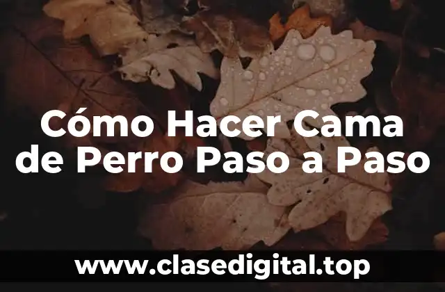 Cómo Hacer Cama de Perro Paso a Paso