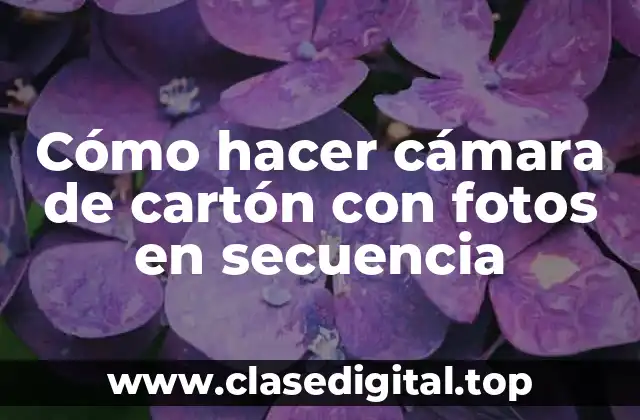 Cómo hacer cámara de cartón con fotos en secuencia