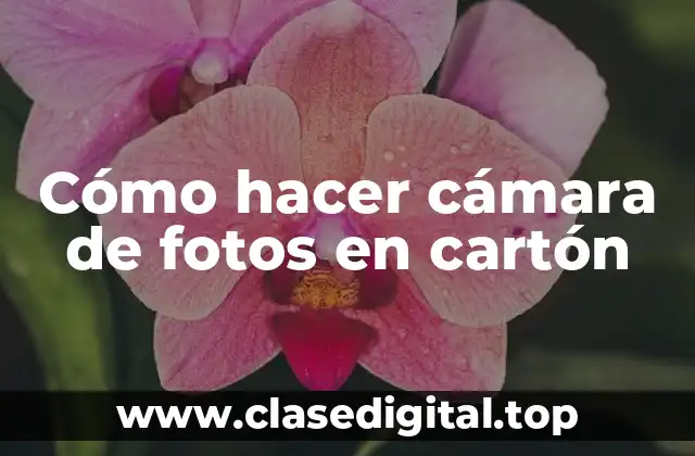Cómo hacer cámara de fotos en cartón