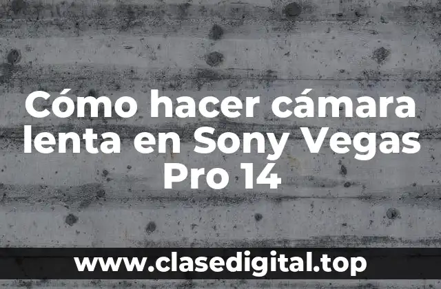 Cómo hacer cámara lenta en Sony Vegas Pro 14
