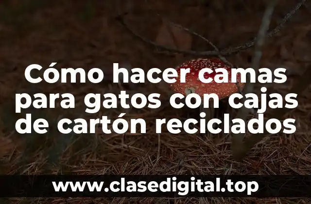 Cómo hacer camas para gatos con cajas de cartón reciclados