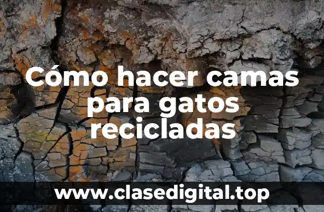 Cómo hacer camas para gatos recicladas