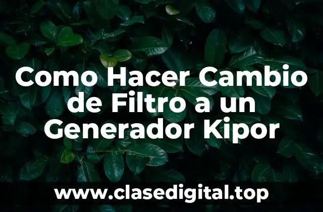 Como Hacer Cambio de Filtro a un Generador Kipor