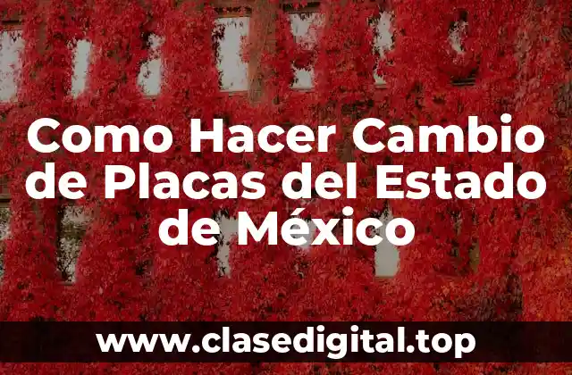 ¿Qué es el Cambio de Placas del Estado de México?