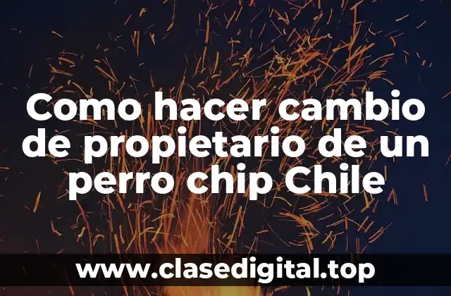 ¿Qué es el cambio de propietario de un perro chip y para qué sirve?