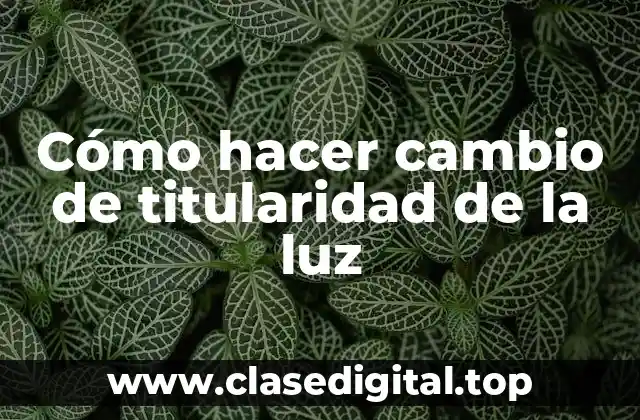 Cómo hacer cambio de titularidad de la luz