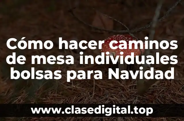 Cómo hacer caminos de mesa individuales bolsas para Navidad