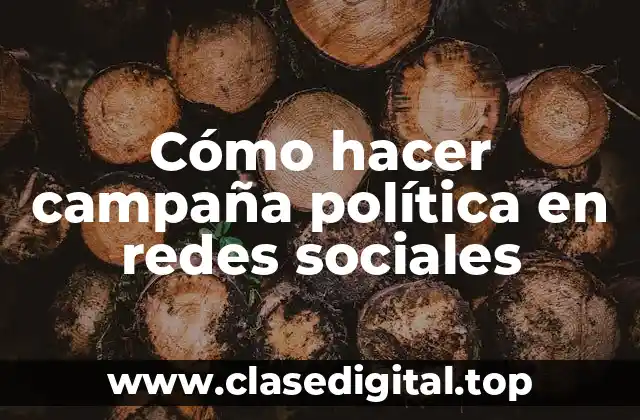 Cómo hacer campaña política en redes sociales