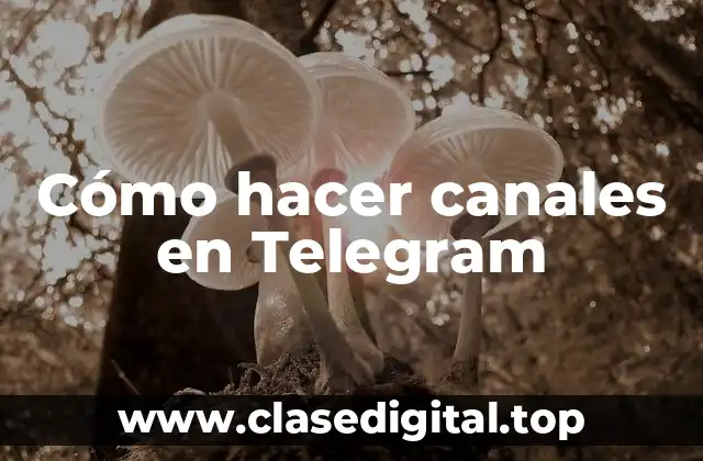 Cómo hacer canales en Telegram