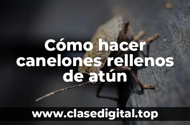 Cómo hacer canelones rellenos de atún