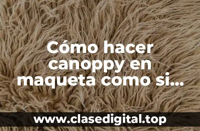 ¿Qué es un canoppy y para qué se utiliza?