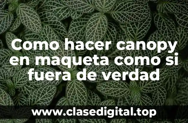 Como hacer canopy en maqueta como si fuera de verdad