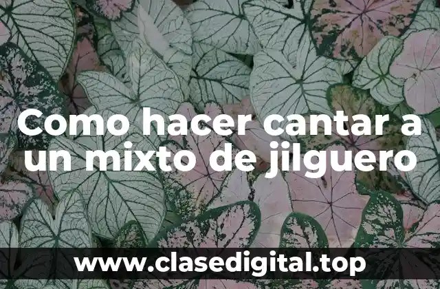 Como hacer cantar a un mixto de jilguero