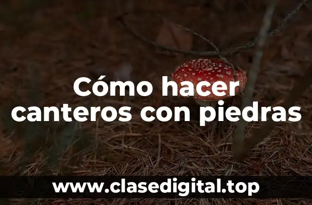 Cómo hacer canteros con piedras