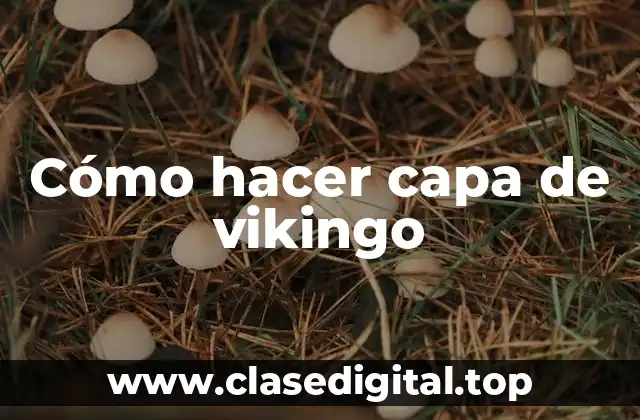 ¿Qué es una capa de vikingo?