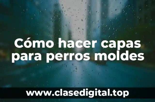 Cómo hacer capas para perros moldes