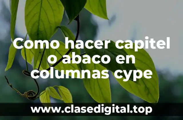 Como hacer capitel o abaco en columnas cype