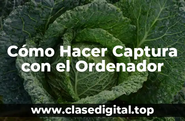 Cómo Hacer Captura con el Ordenador