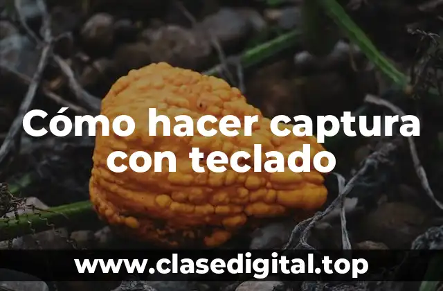 Cómo hacer captura con teclado
