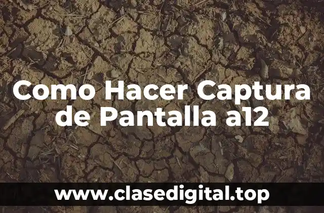 Como Hacer Captura de Pantalla a12