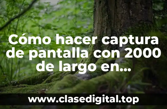 Cómo hacer captura de pantalla con 2000 de largo en Windows