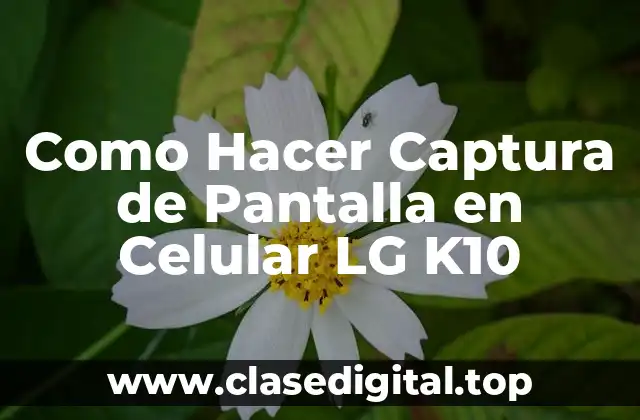 ¿Qué es una Captura de Pantalla y para Qué Sirve?