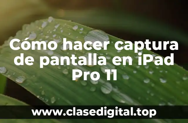 Cómo hacer captura de pantalla en iPad Pro 11