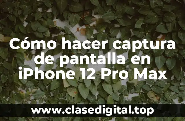 Cómo hacer captura de pantalla en iPhone 12 Pro Max