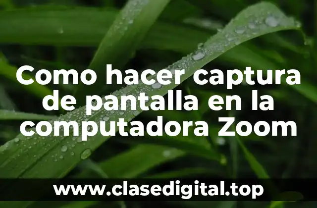 Como hacer captura de pantalla en la computadora Zoom