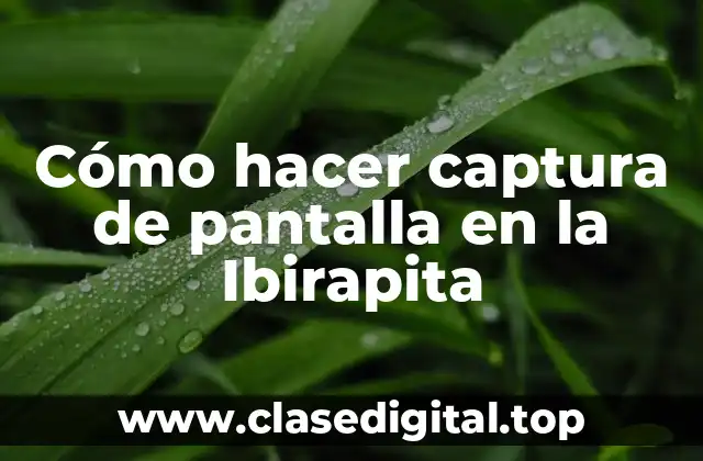 Cómo hacer captura de pantalla en la Ibirapita