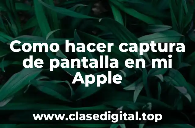 Como hacer captura de pantalla en mi Apple