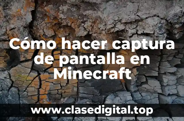 Cómo hacer captura de pantalla en Minecraft