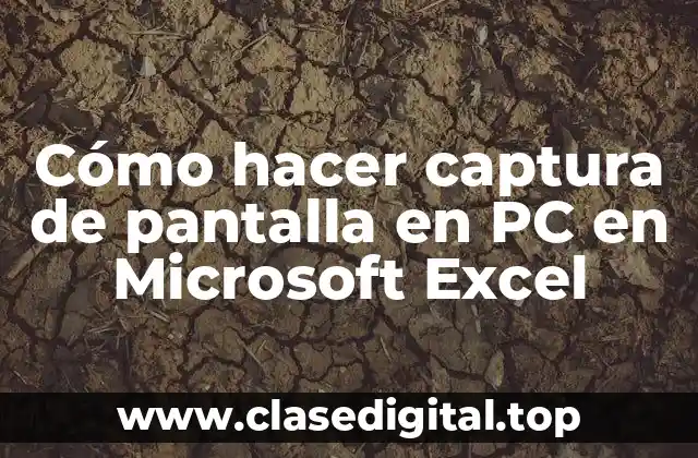 Cómo hacer captura de pantalla en PC en Microsoft Excel