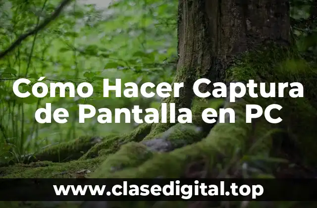 Cómo Hacer Captura de Pantalla en PC