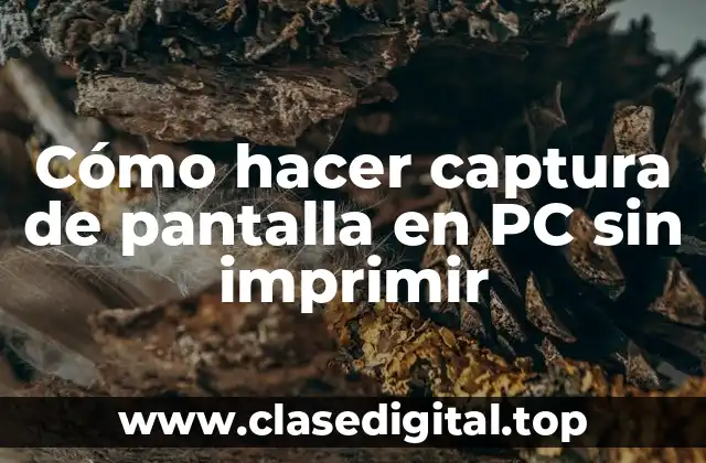 Cómo hacer captura de pantalla en PC sin imprimir