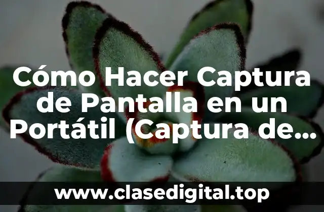 Cómo Hacer Captura de Pantalla en un Portátil (Captura de Pantalla en Laptop)