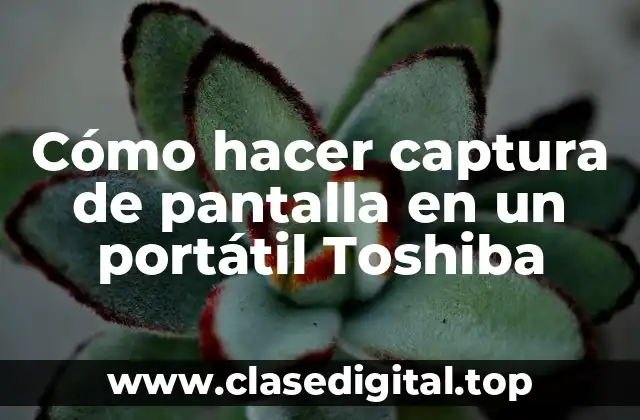 Cómo hacer captura de pantalla en un portátil Toshiba