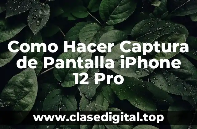 Como Hacer Captura de Pantalla iPhone 12 Pro