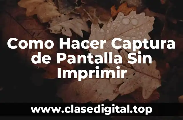 ¿Qué es una Captura de Pantalla y Para Qué Sirve?