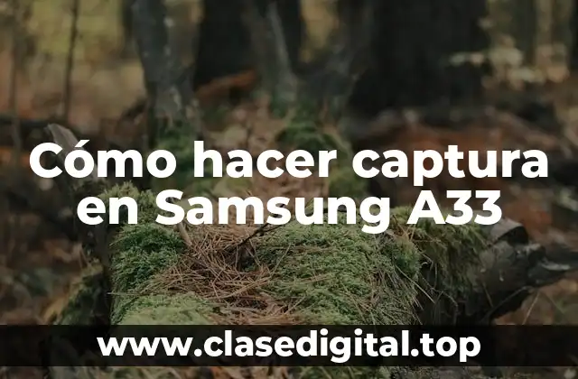 Captura en Samsung A33