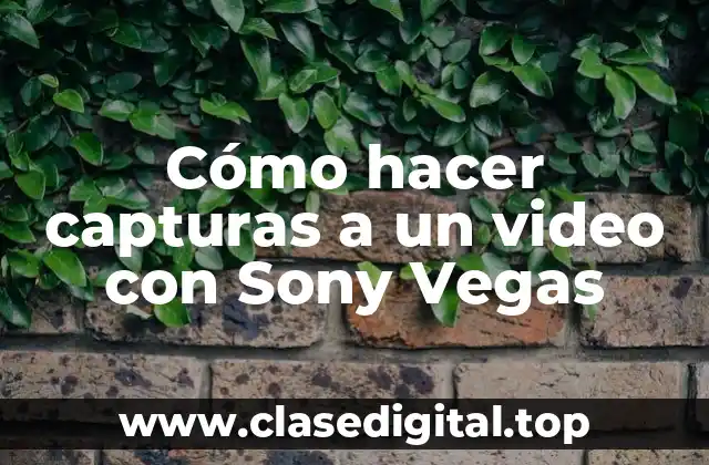 Cómo hacer capturas a un video con Sony Vegas