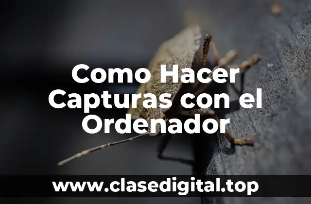 Como Hacer Capturas con el Ordenador