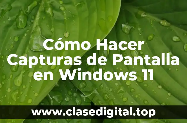 Cómo Hacer Capturas de Pantalla en Windows 11