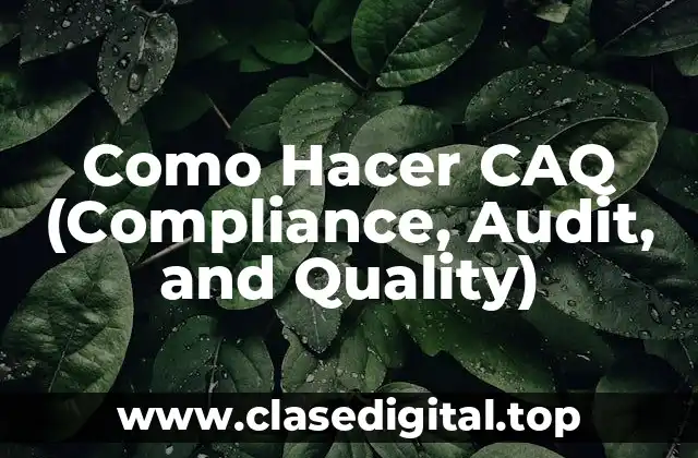 Como Hacer CAQ (Compliance, Audit, and Quality)