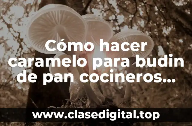 Cómo hacer caramelo para budin de pan cocineros argentinos